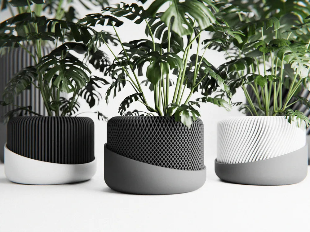 Maceta domo estio lineado